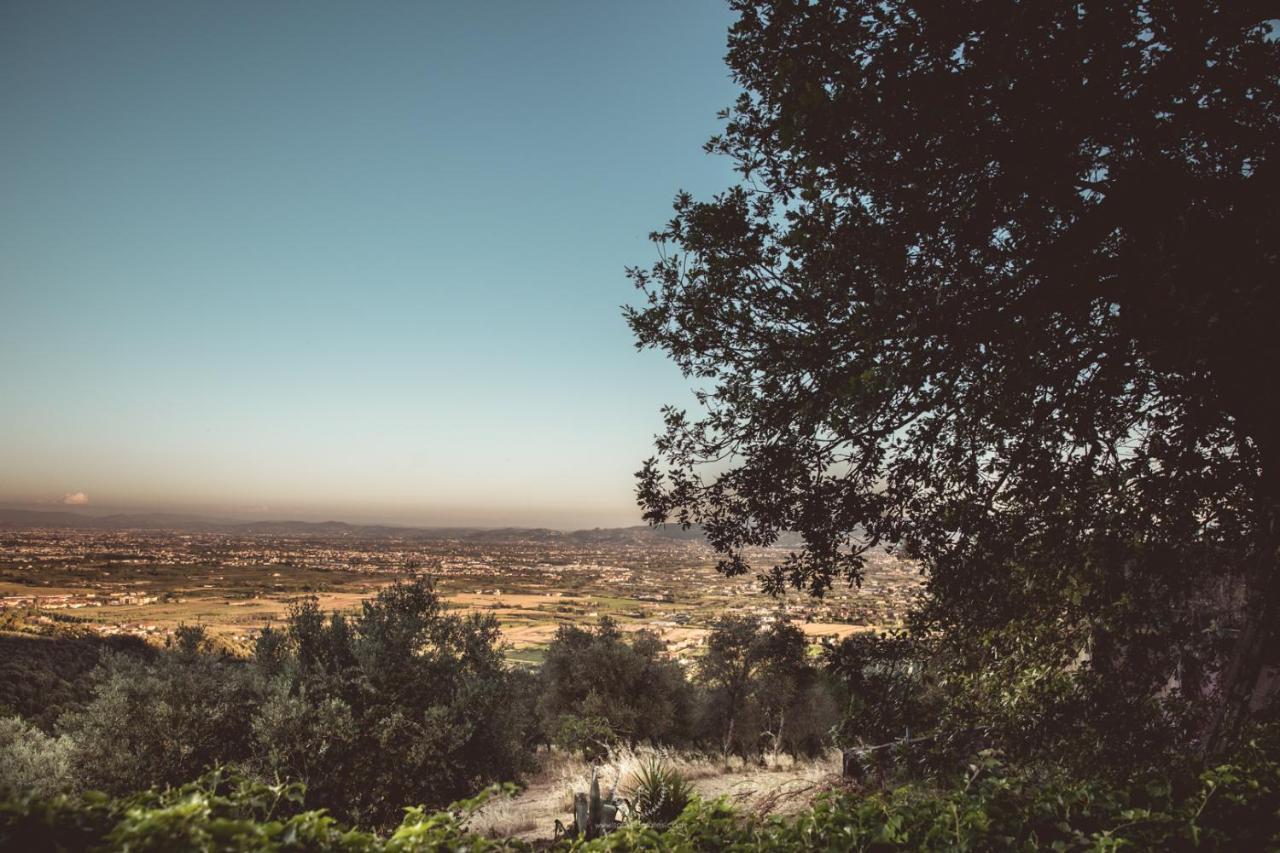 Villa Desiderio Tuscany Pistoia Buitenkant foto