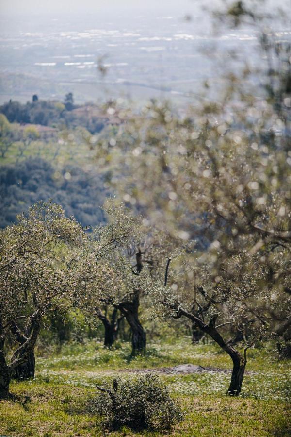 Villa Desiderio Tuscany Pistoia Buitenkant foto
