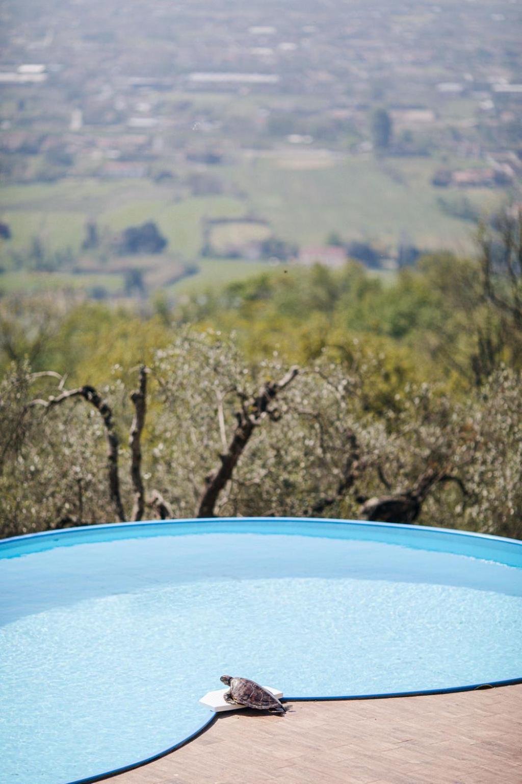 Villa Desiderio Tuscany Pistoia Buitenkant foto